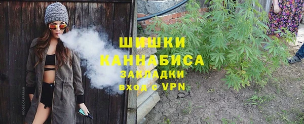 крисы Богородск