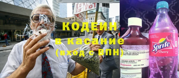 ешки Бородино