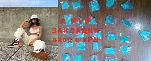 гидра Богданович