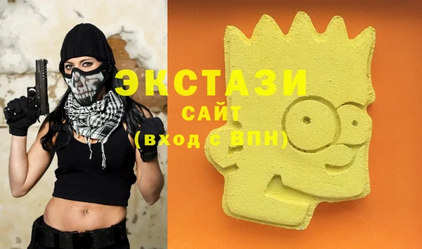 гидра Богданович