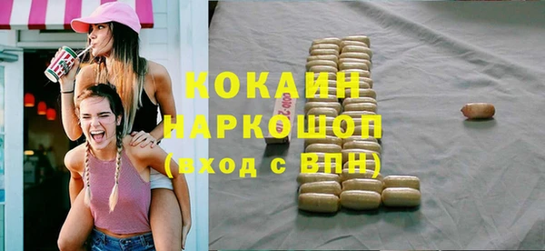 гидра Богданович