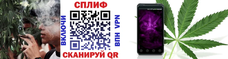 Каннабис MAZAR  Афипский 